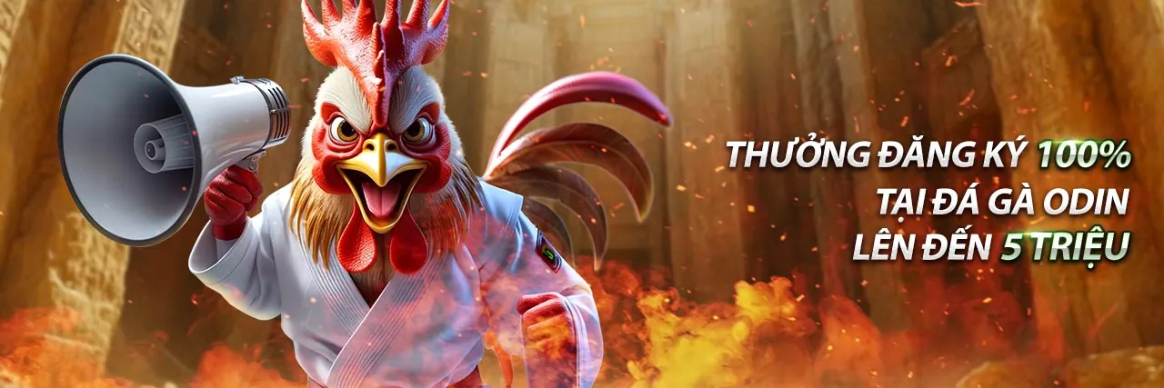 Đá Gà Trực Tuyến Hấp Dẫn trên 8day app